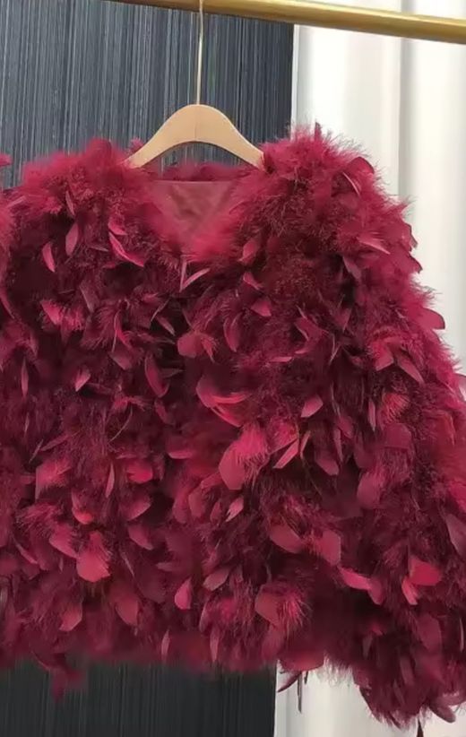 Letizzia burgundy jacket