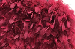 Letizzia burgundy jacket