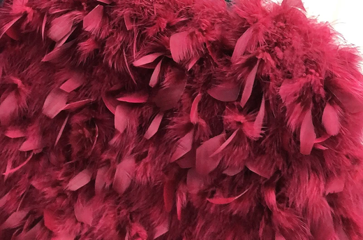 Letizzia burgundy jacket