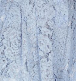 Conjunto modelo Celeste