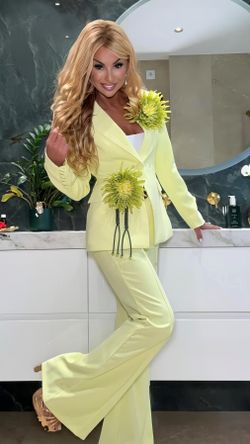Sunflower model set