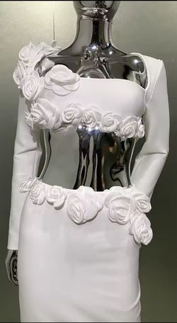 Ensemble de modèles Lily