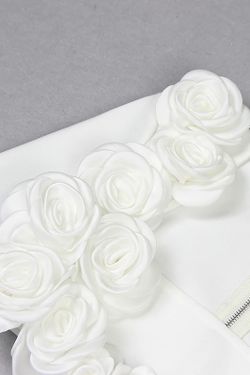 Ensemble de modèles Lily