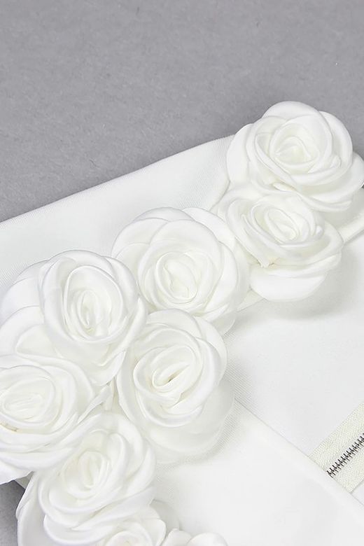 Ensemble de modèles Lily