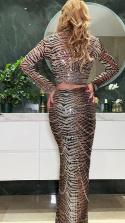 Conjunto modelo Tigre