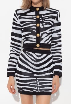 Conjunto modelo Cebra