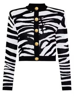 Conjunto modelo Cebra