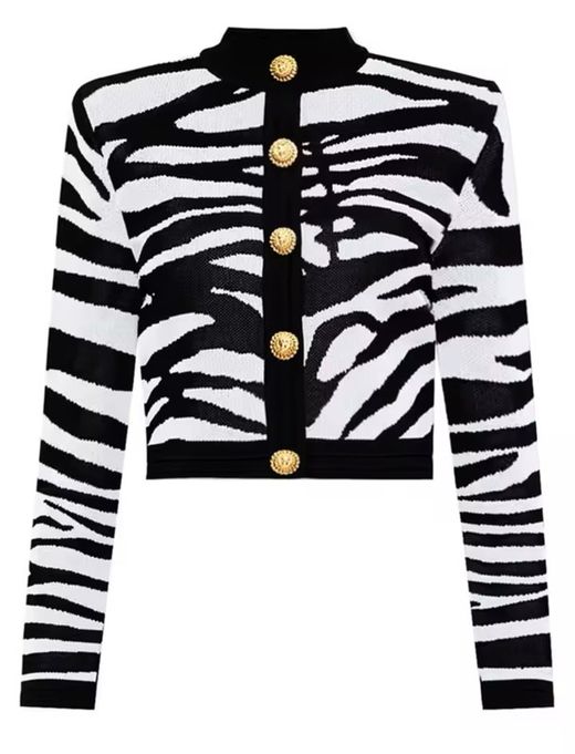 Conjunto modelo Cebra