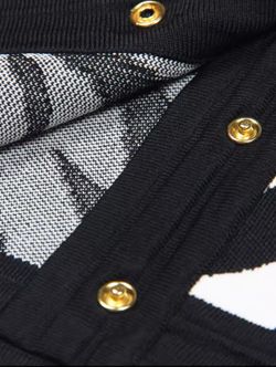 Conjunto modelo Cebra