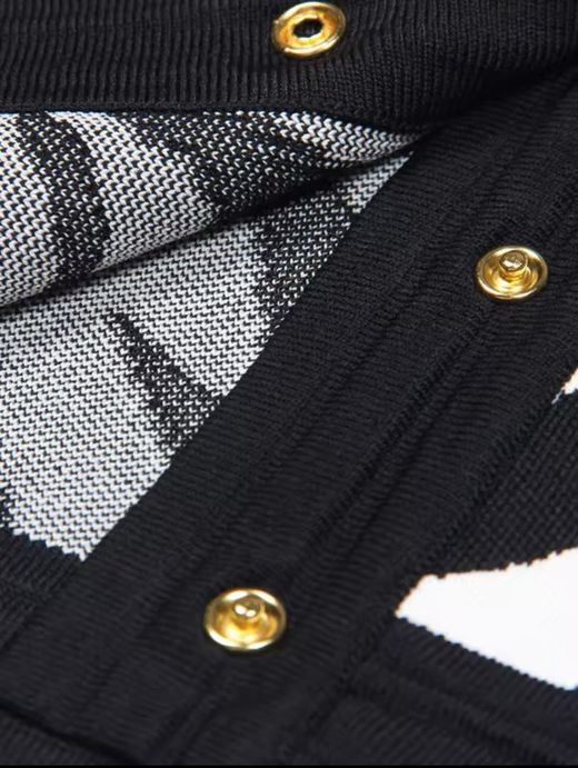 Conjunto modelo Cebra