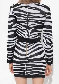 Conjunto modelo Cebra