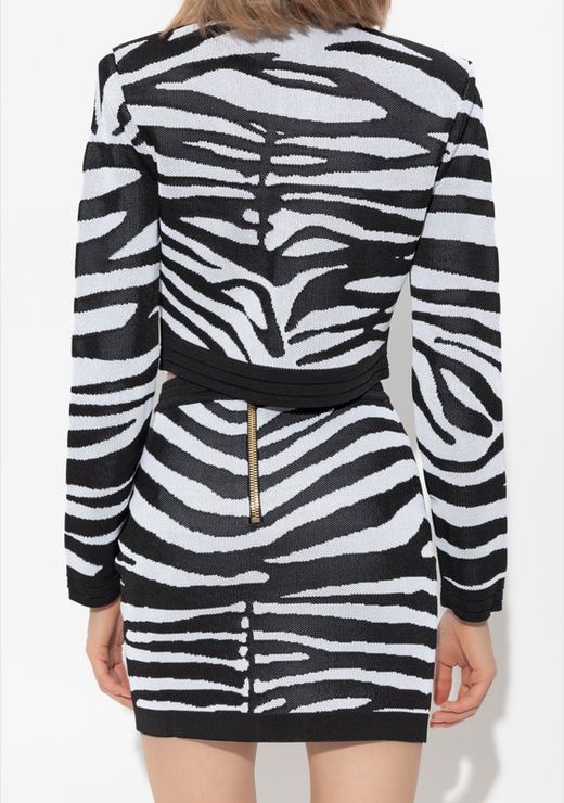 Conjunto modelo Cebra