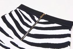 Conjunto modelo Cebra