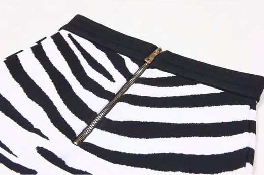 Conjunto modelo Cebra