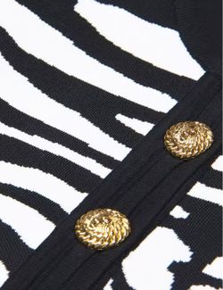 Conjunto modelo Cebra