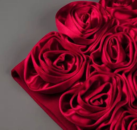 Robe modèle Alegria