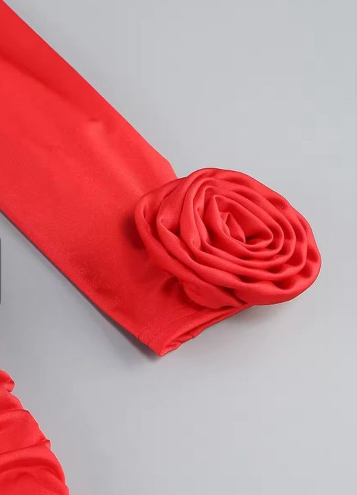 Cacharel model dress