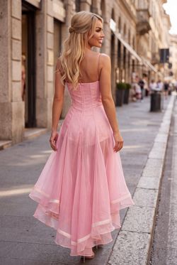 Vestido modelo Emilia Rosa