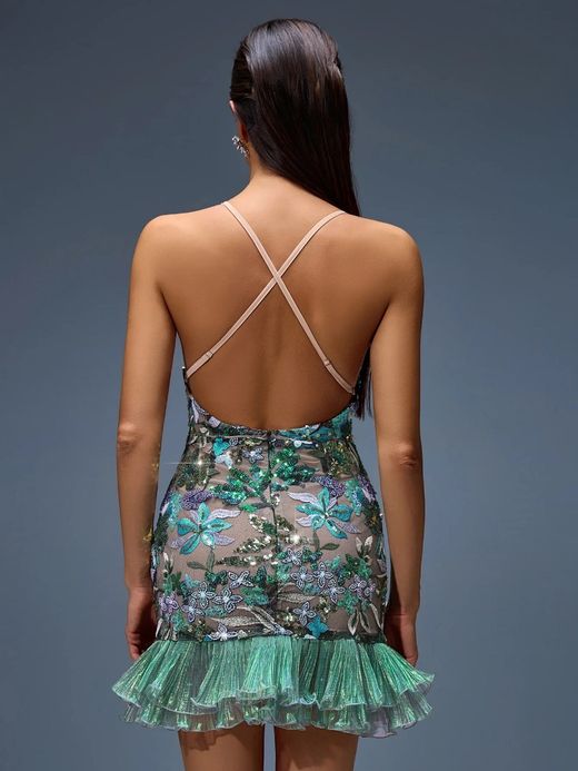 Robe modèle de Floride