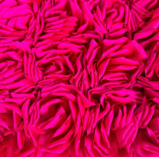 Miss Gala model dress