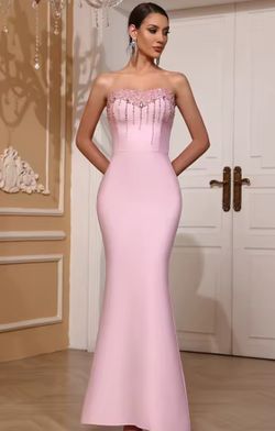 Rose Dress model dress