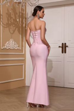 Rose Dress model dress