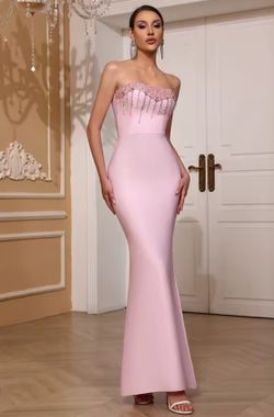 Rose Dress model dress