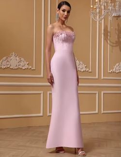 Rose Dress model dress