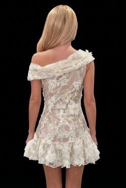 Lace Dream dress