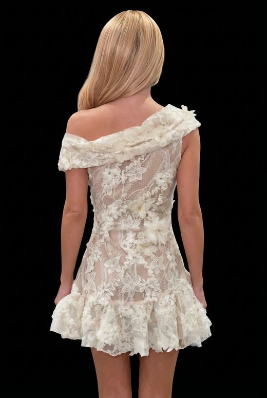 Lace Dream dress