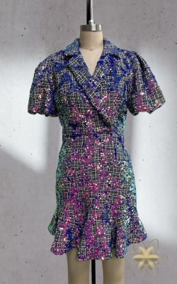 Claudia model sequin dress